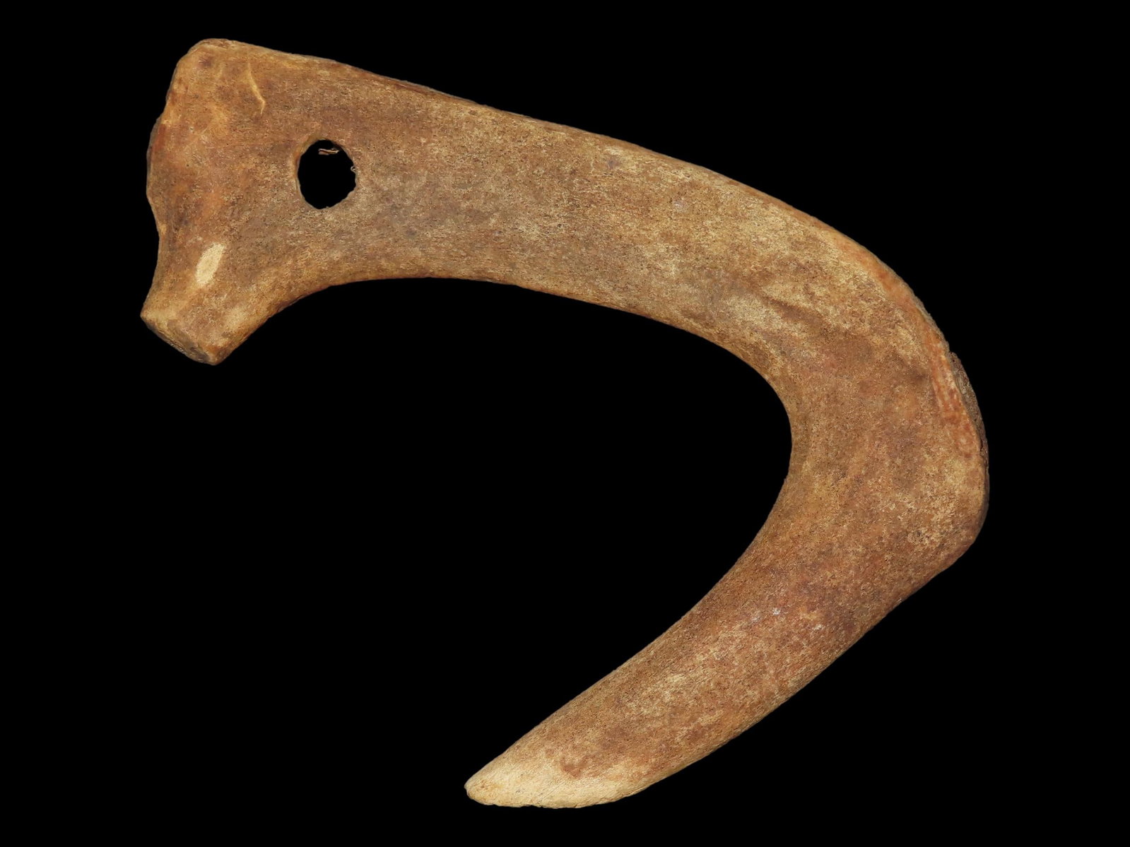 6?? Large Bone Hook from Bering Sea, Alaska (1 of 7)