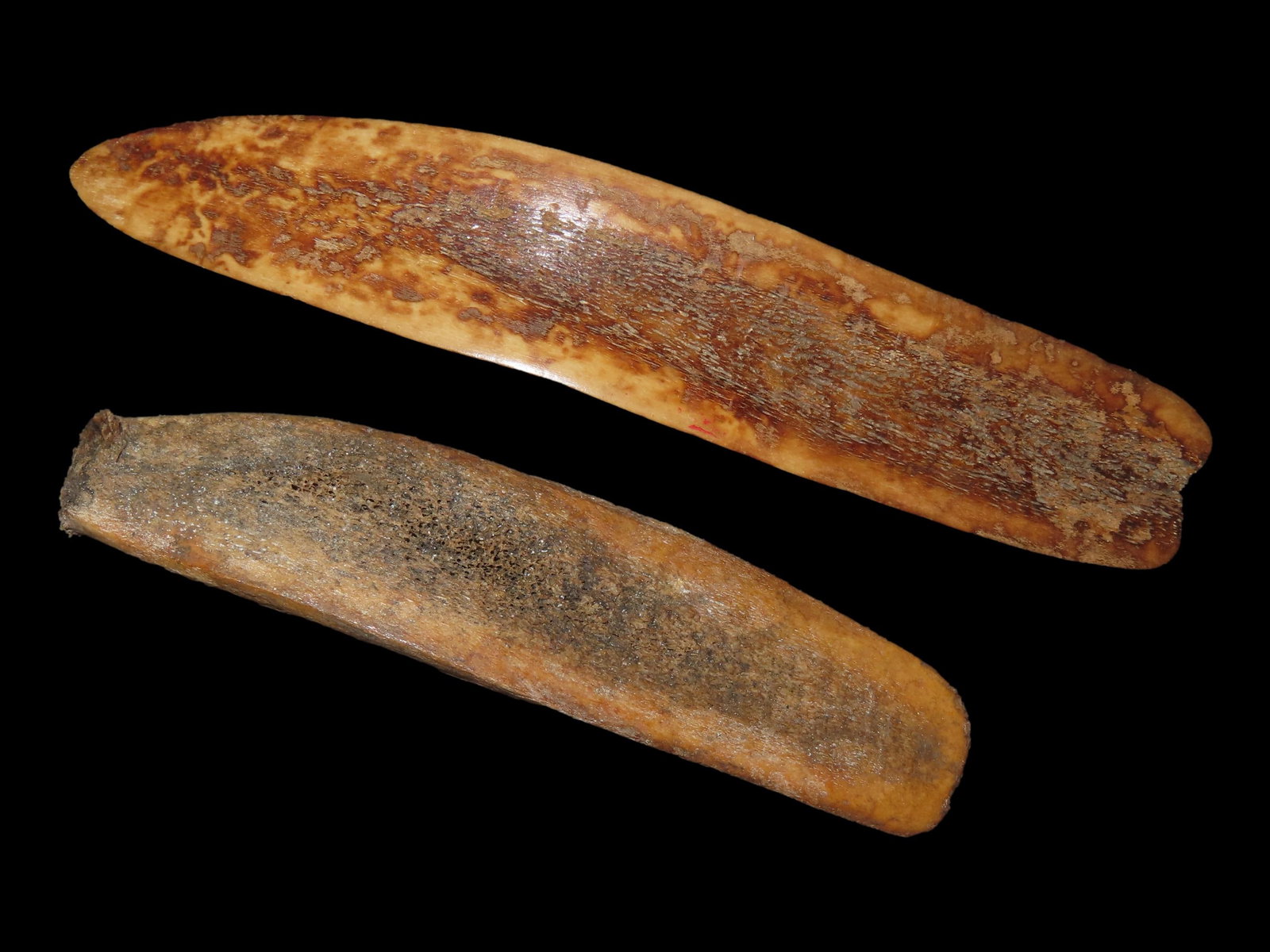 Lot of Two Bone Wedges, Bering Sea, Alaska (1 of 11)