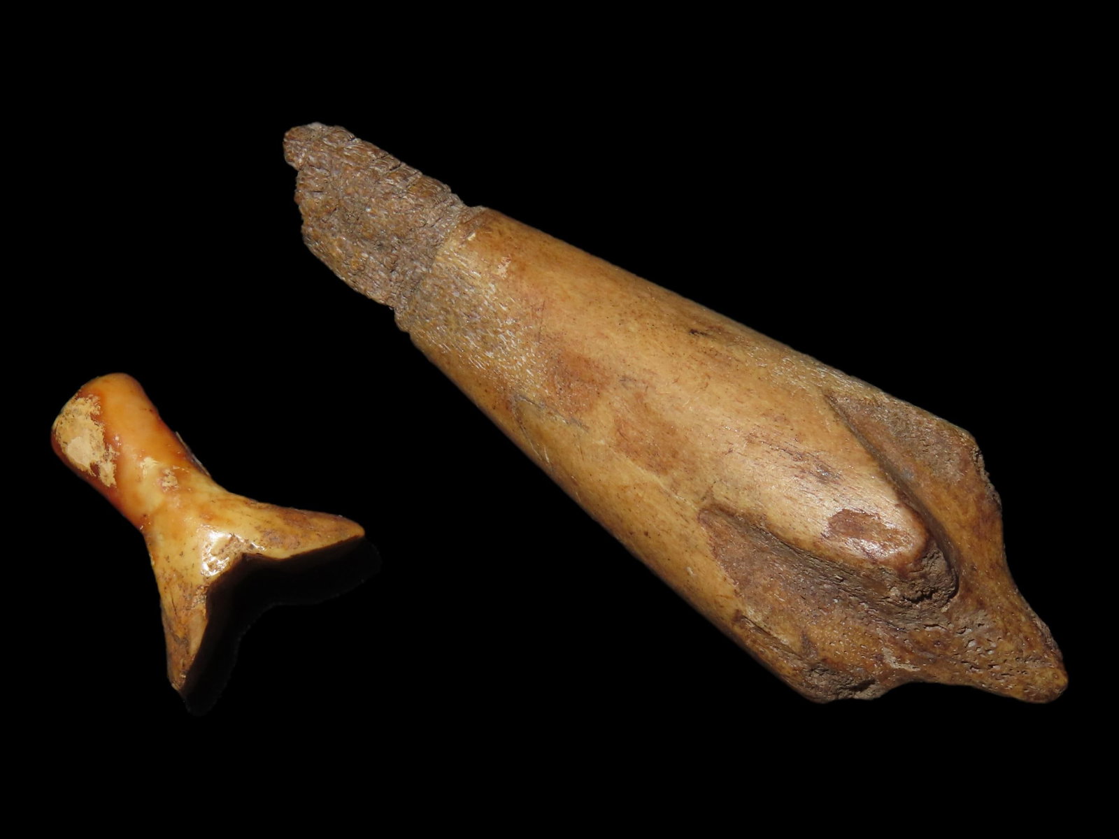 Eskimo Finger Rest for Harpoon and Bone Arrowhead, Bering Sea, Alaska: Eskimo Finger Rest for Harpoon and Bone Arrowhead, Bering Sea, Alaska