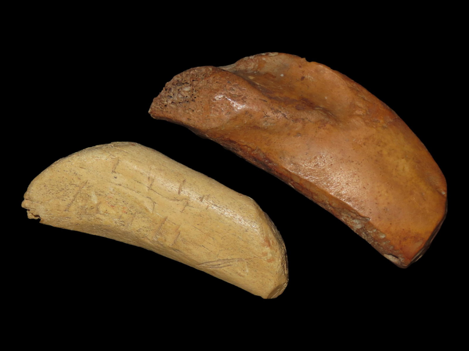 Eskimo Lot of 2 Artifacts and Tool, One Knife Handle, Bering Sea, Alaska (1 of 12)