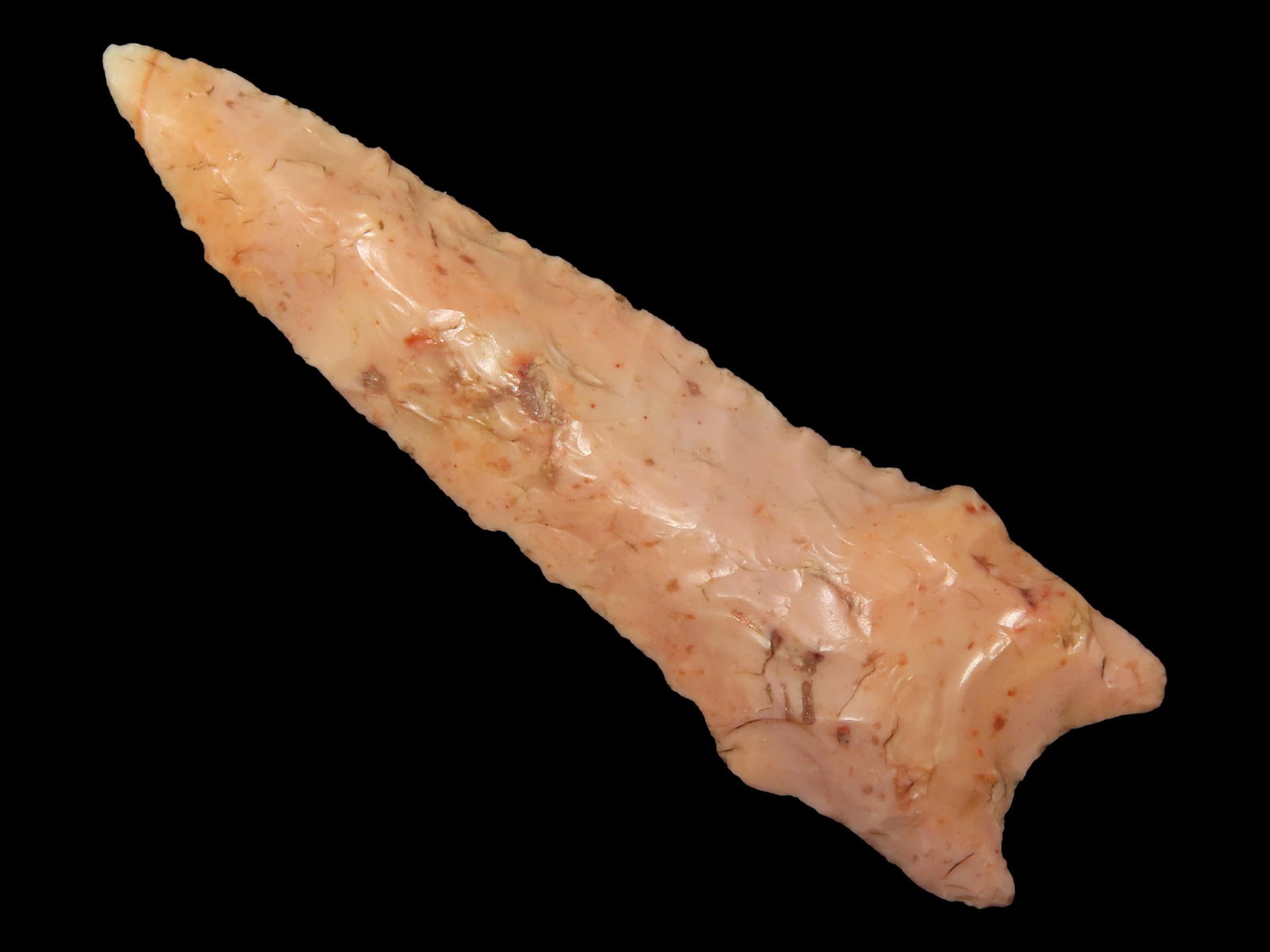 2 3/4" Angostura, Tupelo, Arkansas, Found by John Middlebrook: 2 3/4" Angostura, Tupelo, Arkansas, Found by John Middlebrook