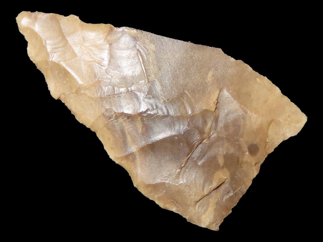 Gem Arrowhead, High Plains Area, Found by Dennis Kendrick, Red Desert Area, Wyoming: Gem Arrowhead, High Plains Area, Found by Dennis Kendrick, Red Desert Area, Wyoming
