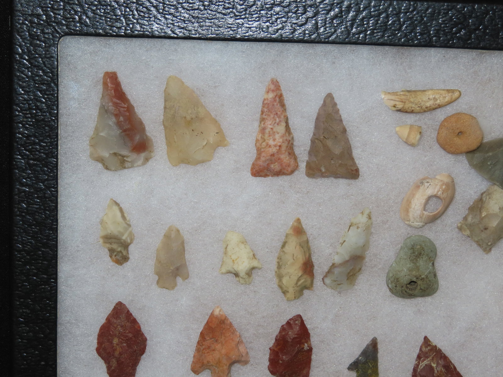 Frame Containing Miscellaneous Bird Points, Beads, Bone, Shell, and Teeth - 2