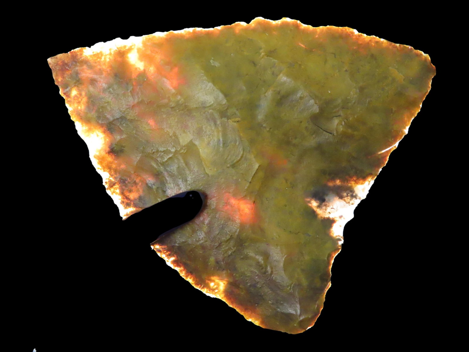 2 1/8" Tortugas, Colorful Flint, New Mexico (1 of 9)