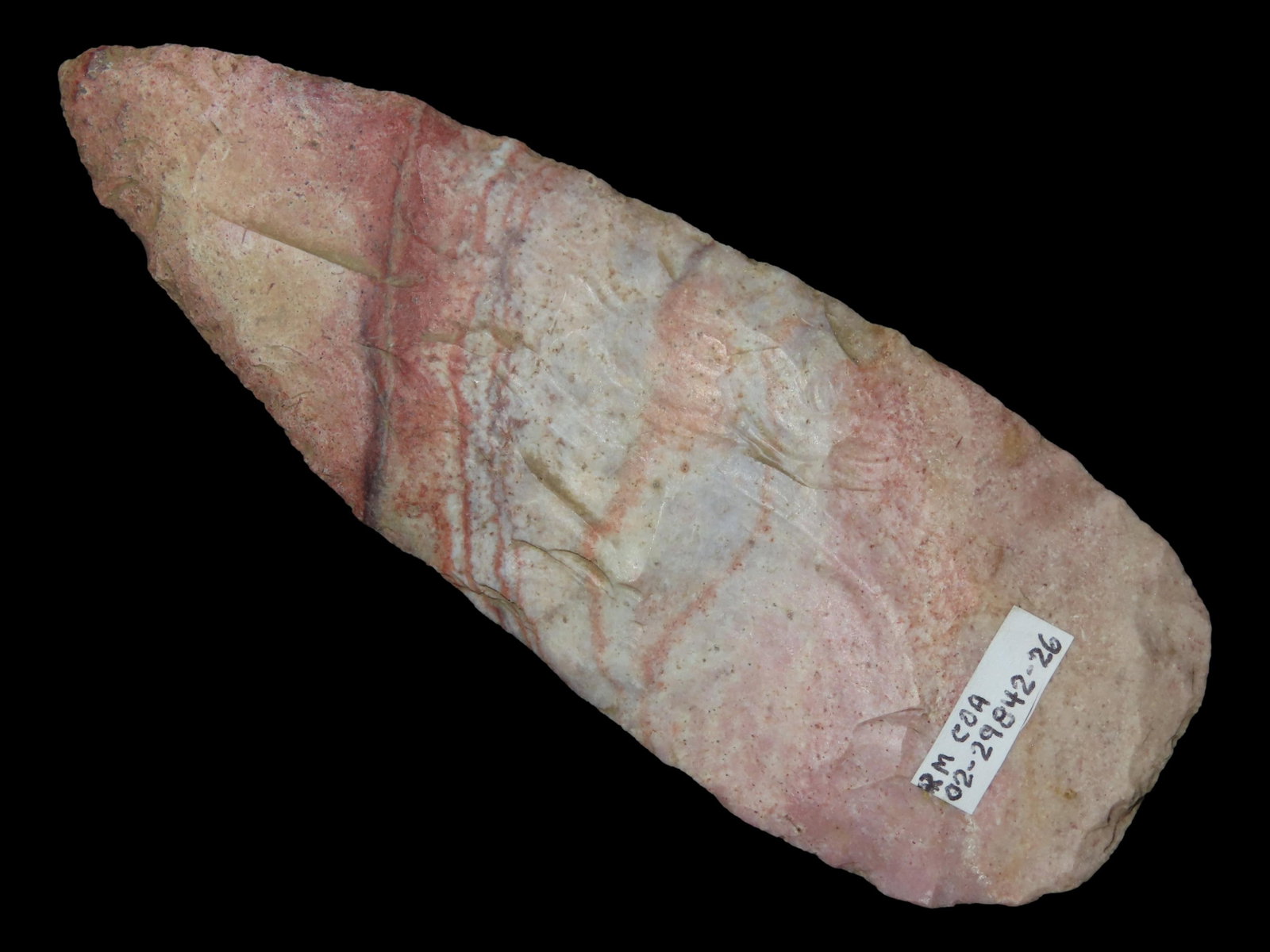 5 5/16" Stanfield, Motley COA, High Ridge Chert, Lincoln Co., Missouri, Ex. Gary Reif, Ex. Tim (1 of 9)