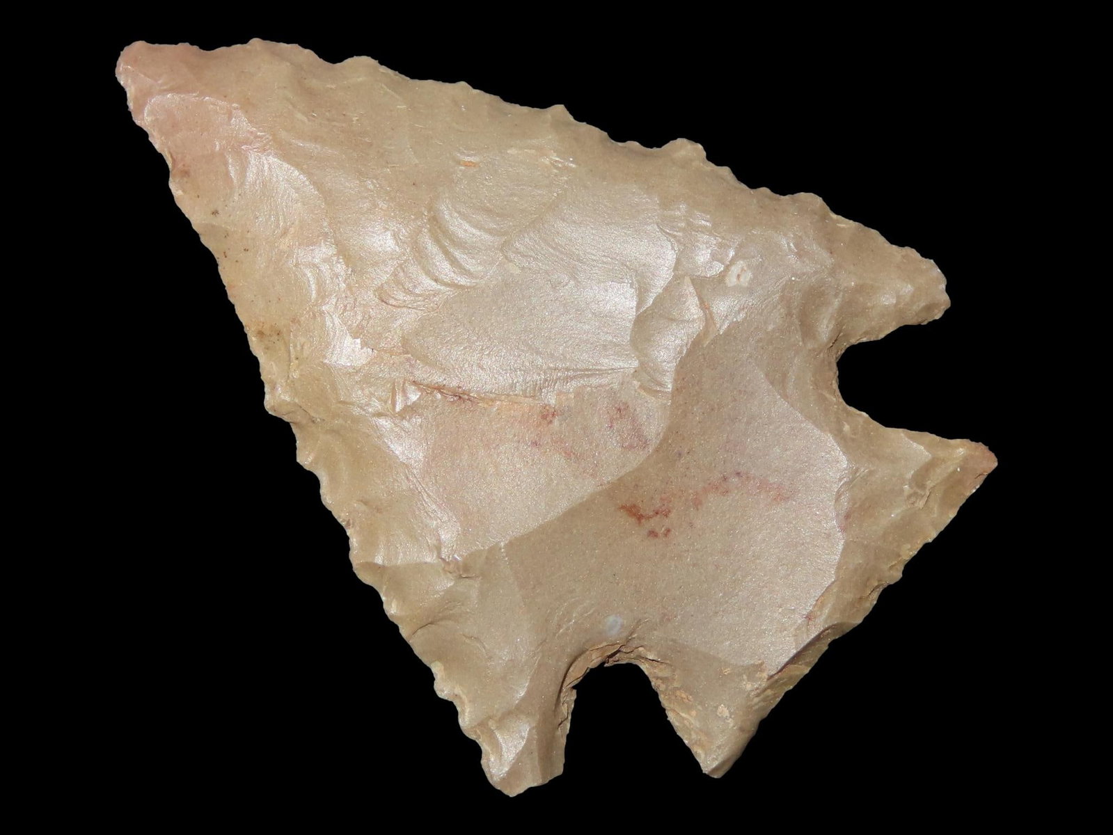 1 5/8" Corner Notch Pinetree, Benton Co., Tennessee (1 of 6)
