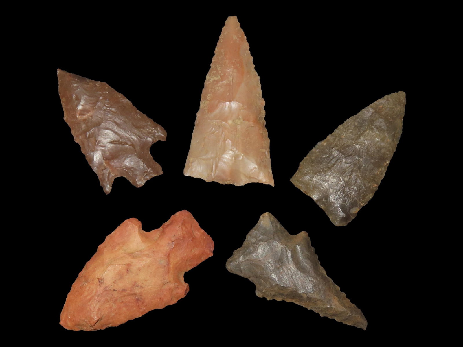 Lot of 5 Archaic/Woodland Points, Benton Co., Tennessee (1 of 12)