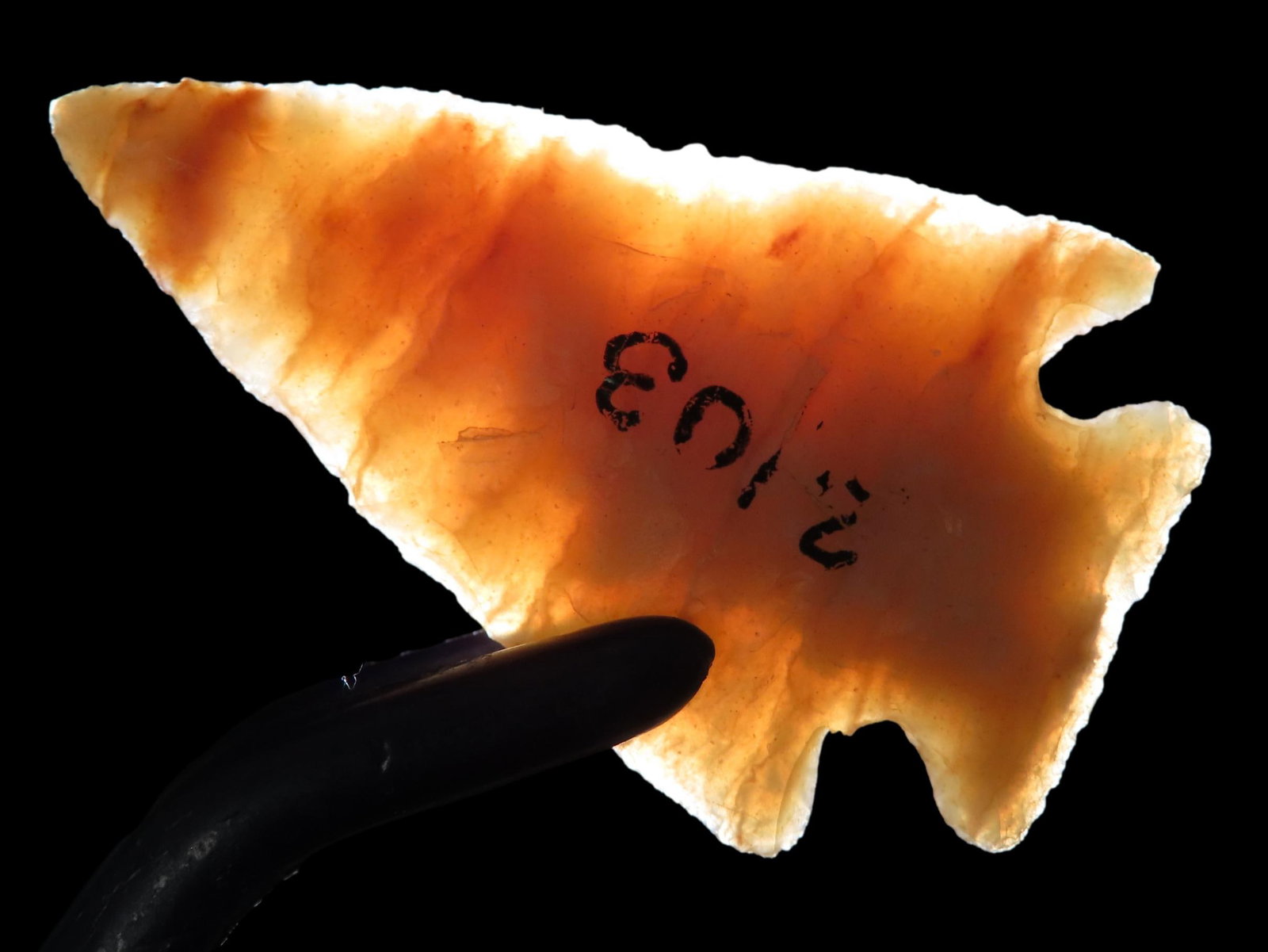 1 3/4" Bird Point, Found on the J.J. Currie Ranch, Palo Duro Canyon, Randall Co., Texas (1 of 7)