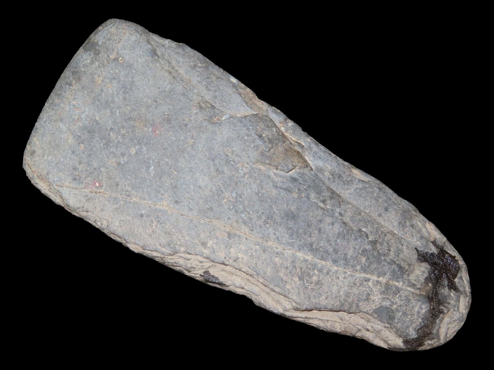 5 3/4" Shale Celt, Ohio (1 of 7)