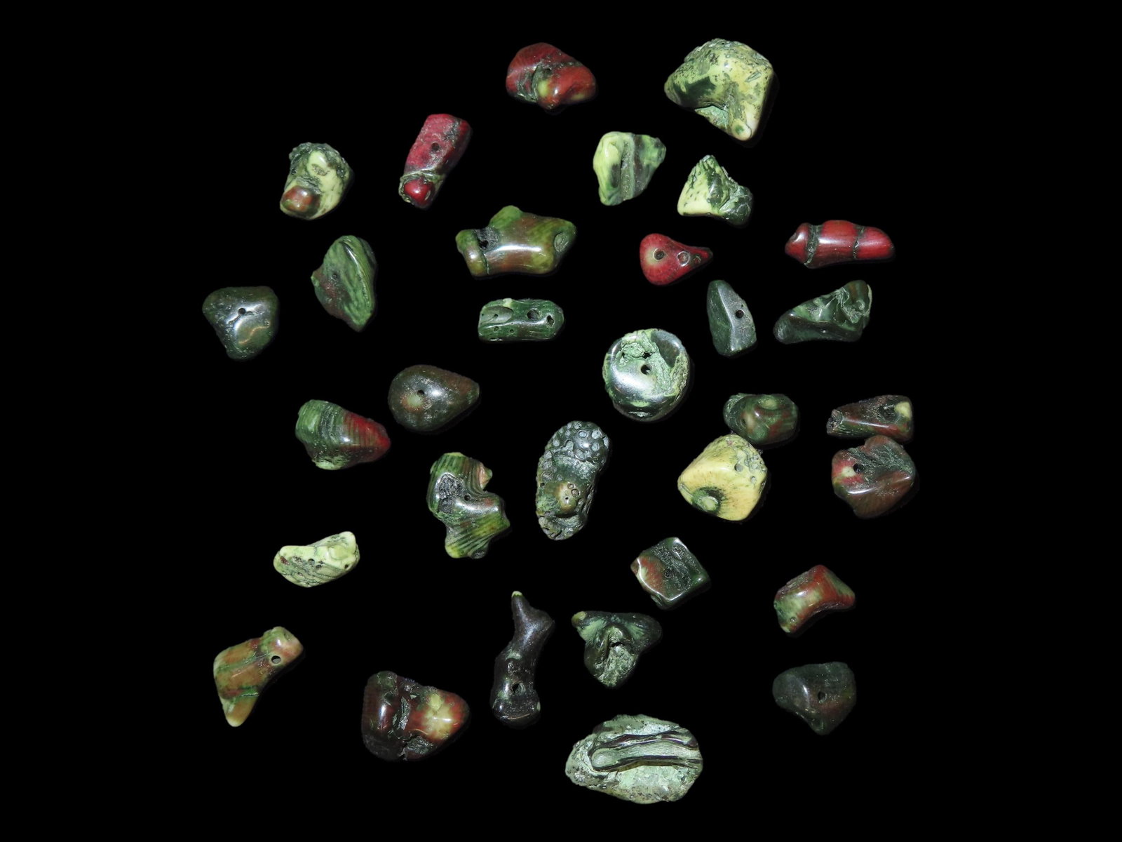 Collection of Fossil Coral, Middle East: Collection of Fossil Coral, Middle East