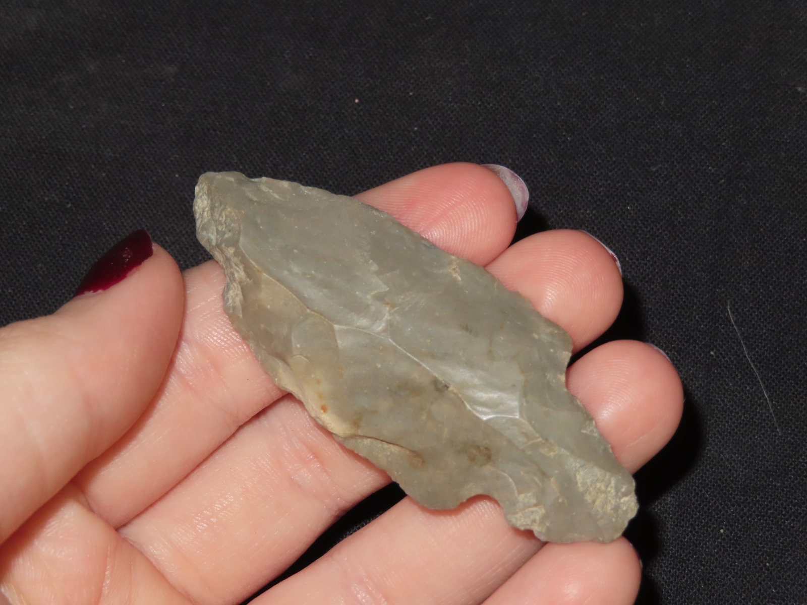 2 1/2" Cache River, Indiana - 2