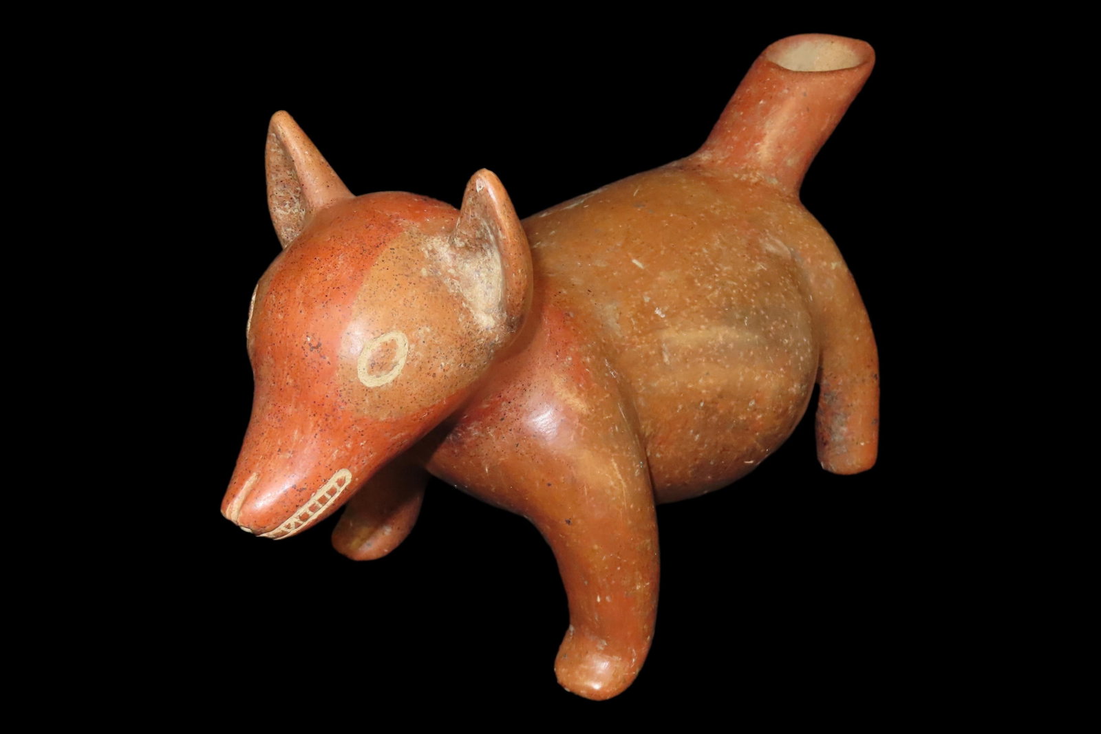 13" x 6" Pre-Columbian Colima Dog, Western Mexico, Minor Professional Restoration to Face (1 of 9)
