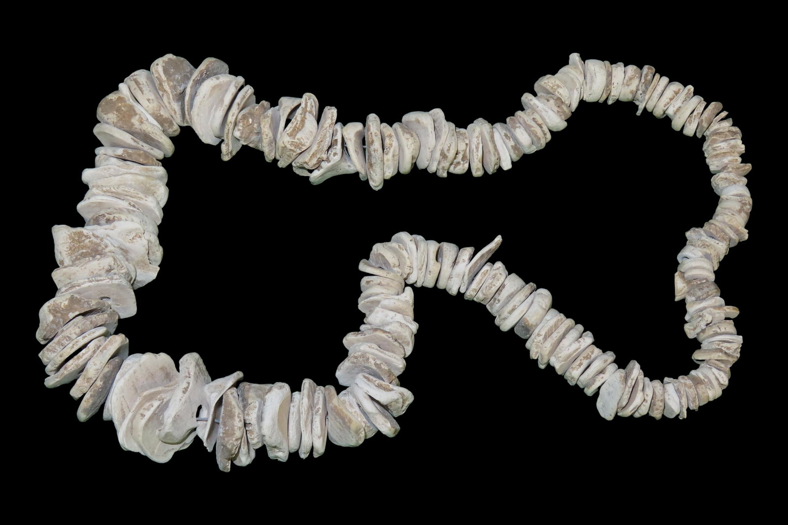 Strand of Florida Shell Beads, Ex. Ed Schwartz (1 of 6)