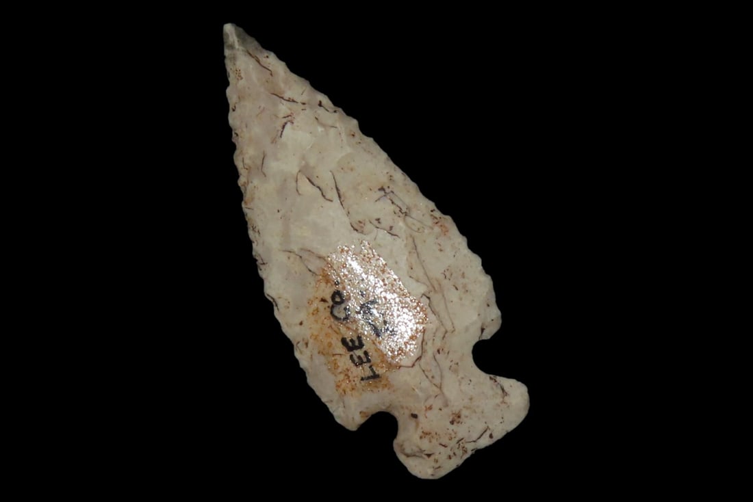 2" Scallion Bird Point, Lee Co., Iowa (1 of 6)