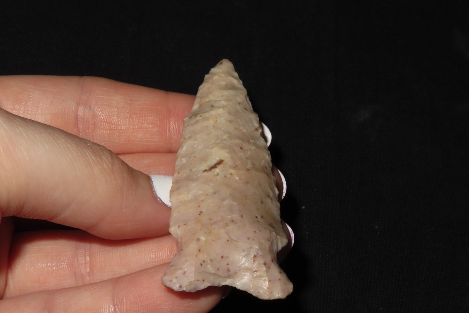 2 3/4" Robbinson Point - 5
