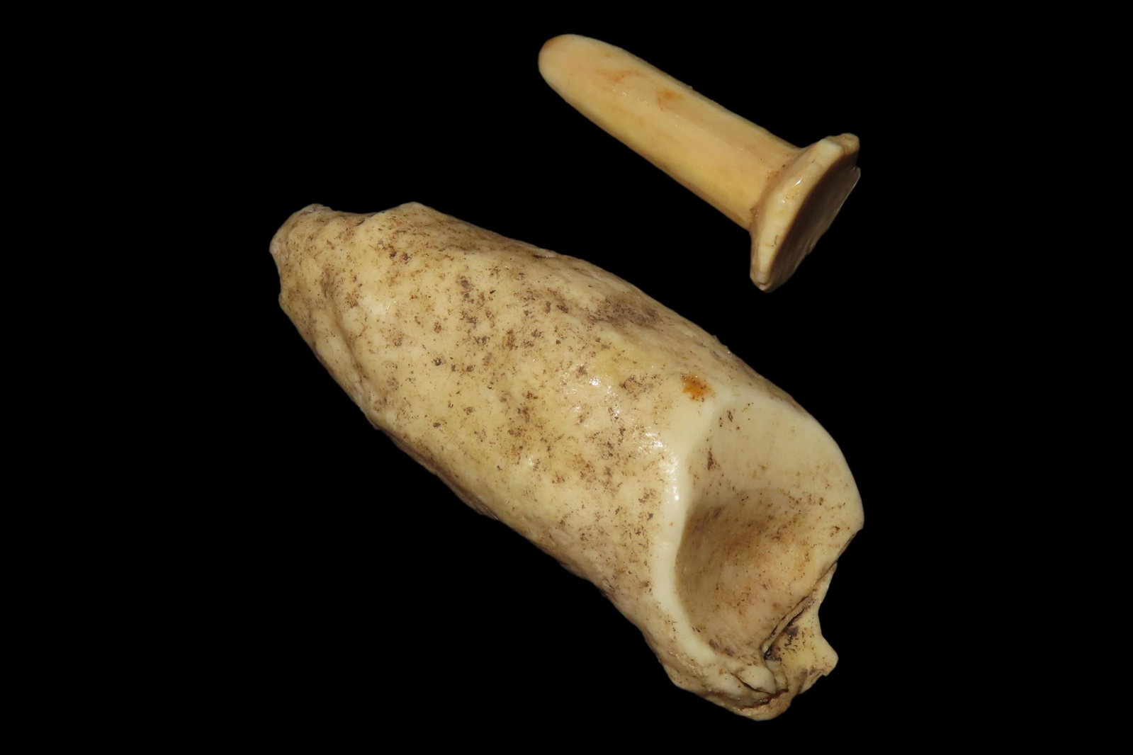 Lot of 2 Eskimo Whale Plugs, Alaska (1 of 7)