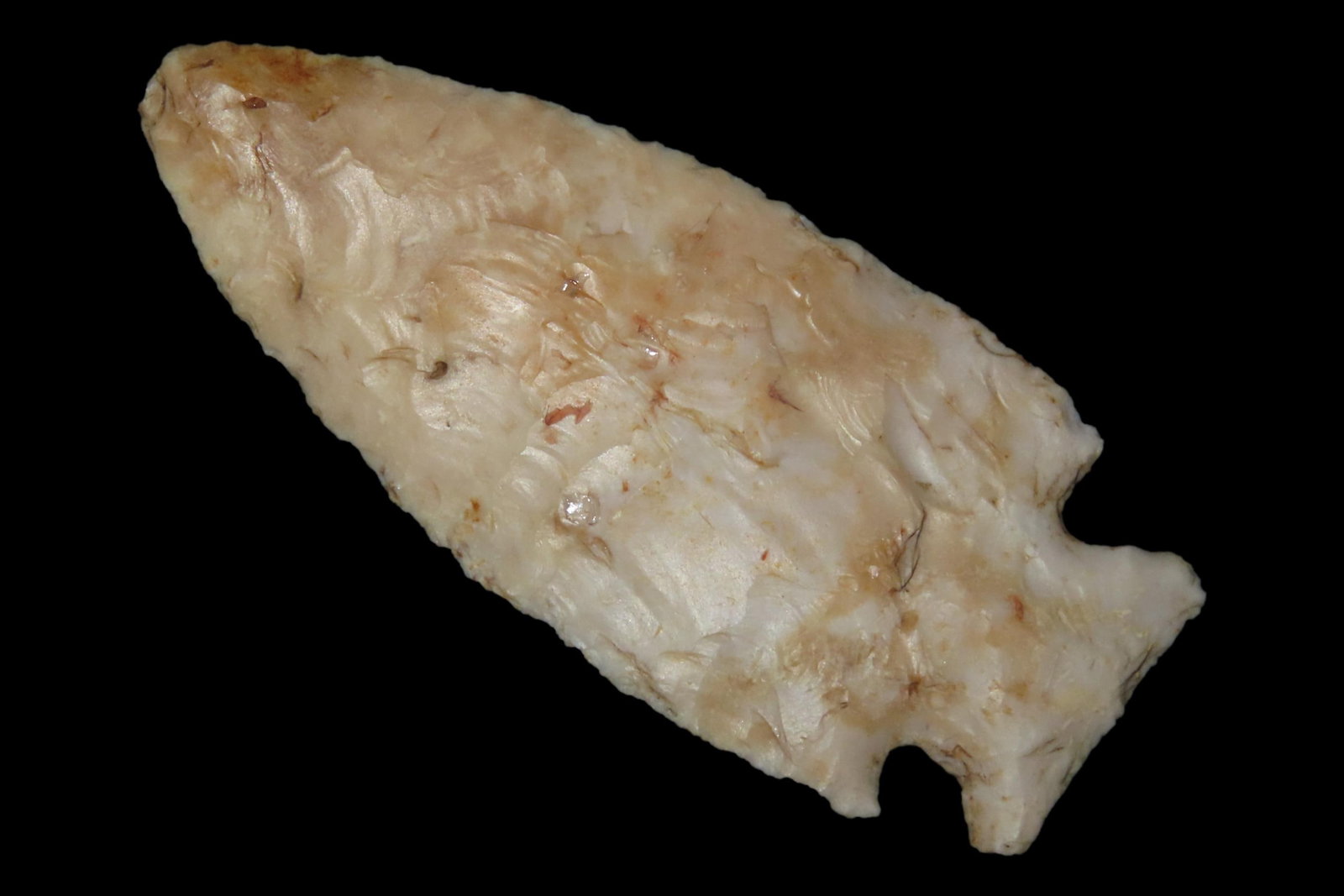 2 3/4" x 1 3/16" Stillwell, Glossy Chert, Butler Co. Missouri, Ex. George Robertson: 2 3/4" x 1 3/16" Stillwell, Glossy Chert, Butler Co. Missouri, Ex. George Robertson
