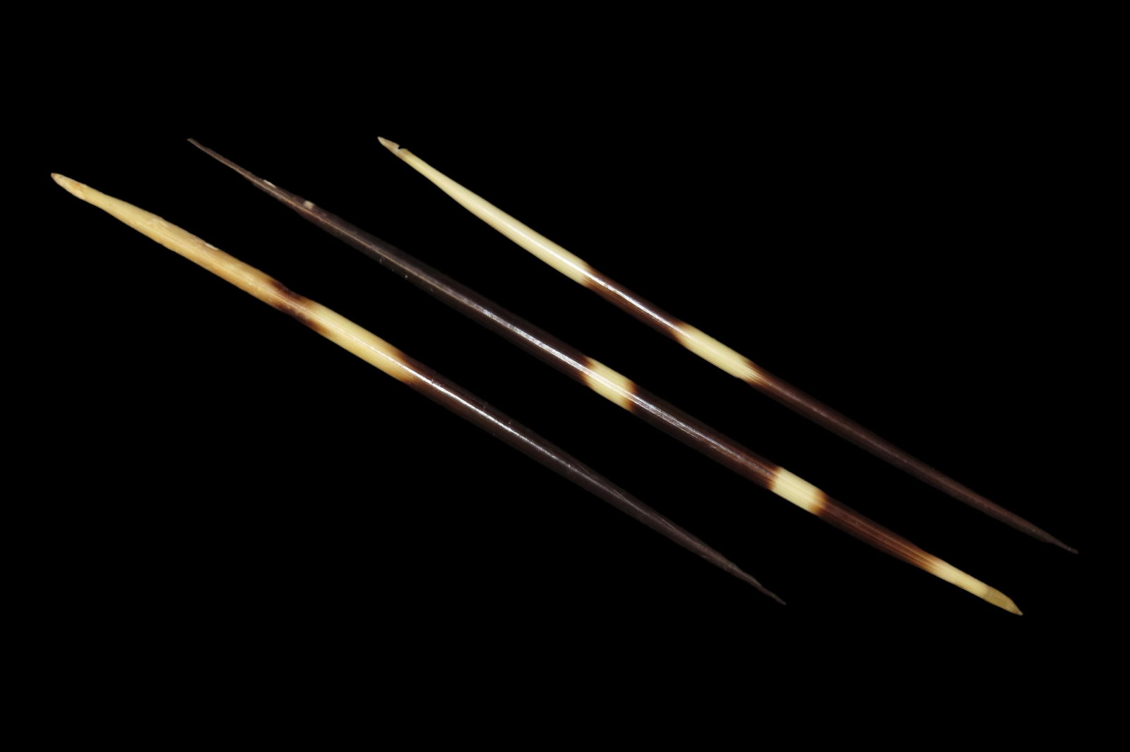 9 5/8" Set of 3 African Giant Quills: 9 5/8" Set of 3 African Giant Quills