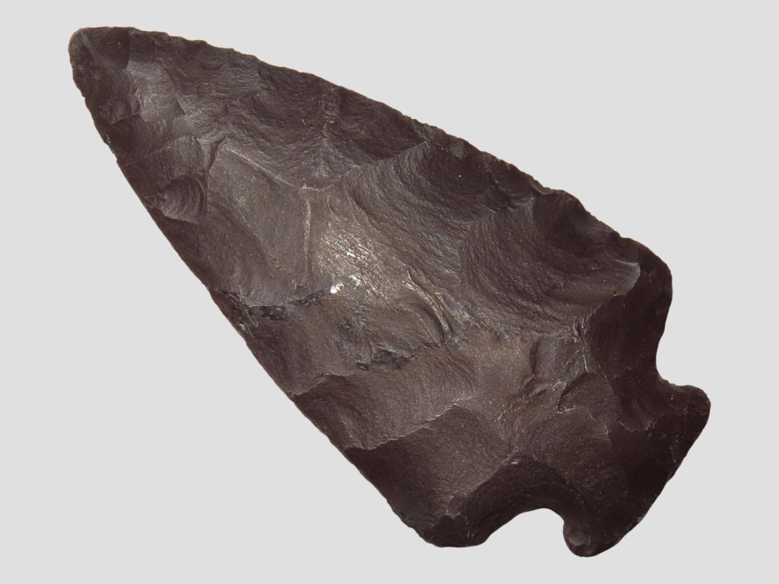 Incredible 2 3/4" Purple Jasper Perkiomen / Susquehanna Broad Spear found in Lycoming County (1 of 6)
