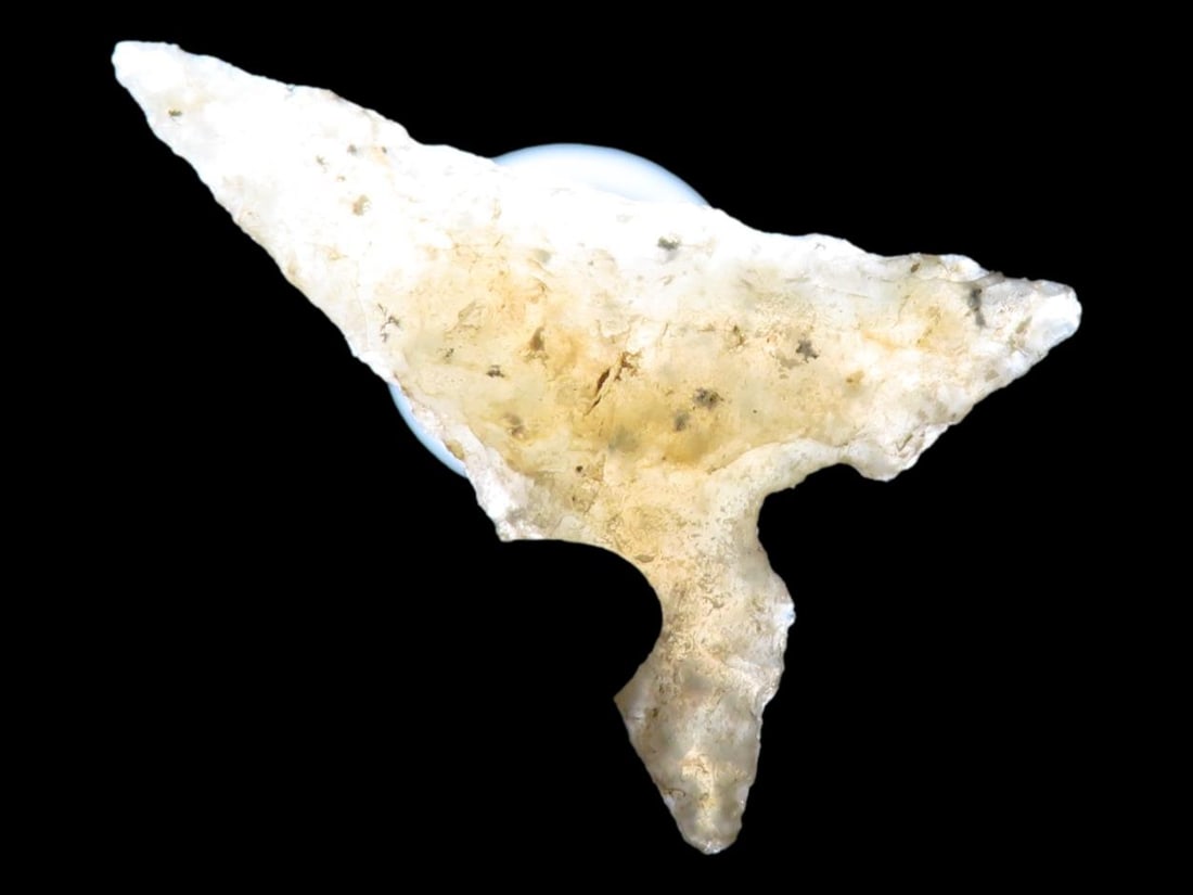 Perfect Translucent Agate Garza Bird Point. Carlos Black COA. Found in N.W. Texas. Ex Jesse Walker & (1 of 9)