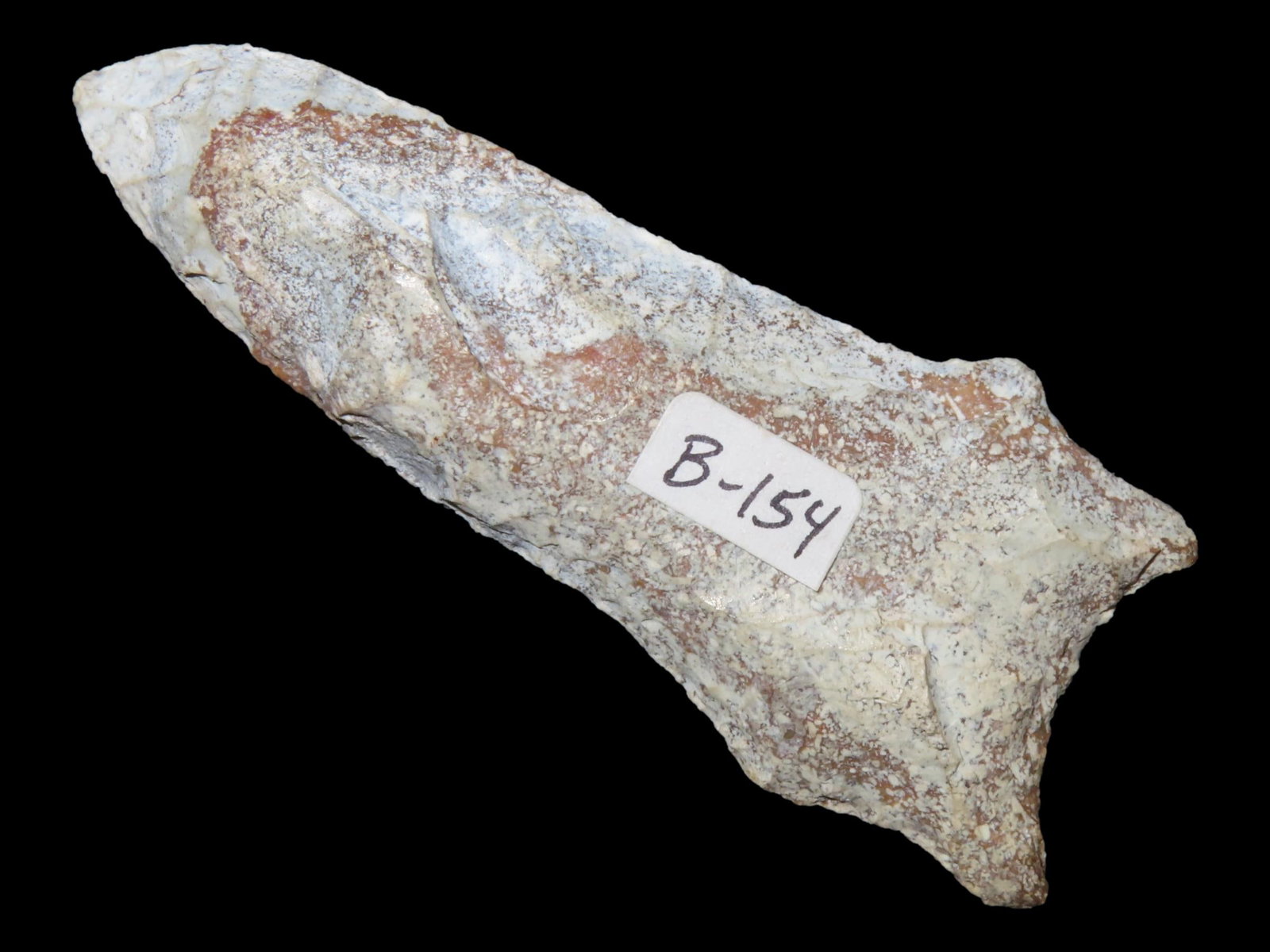 Colorful 3" Florida Paleo Chipola / Dalton found in Pasco County FL. Ex C.J. Oniel, Ex Brian Boles (1 of 6)