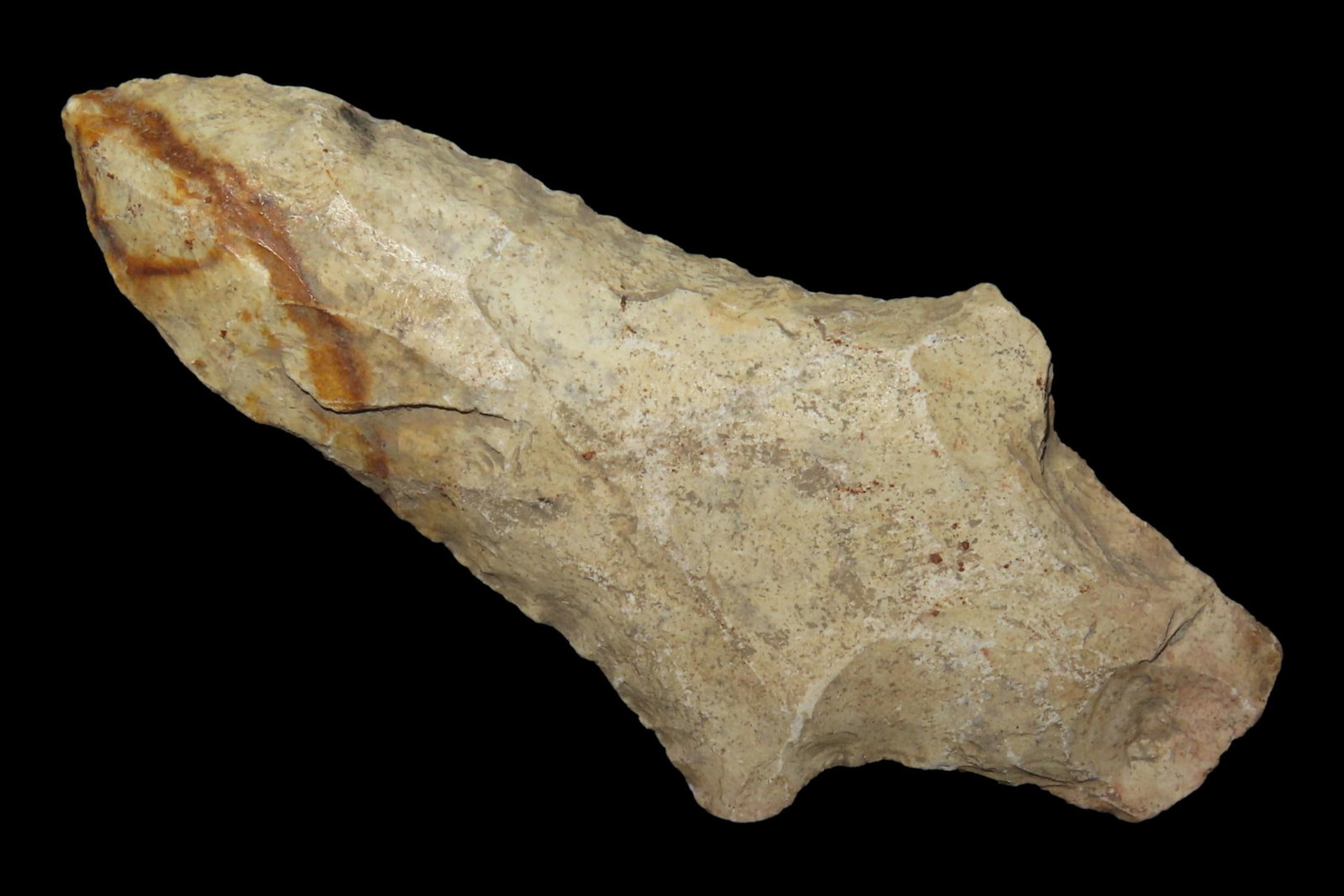 Outstanding 3 11/16" Florida Hardee Bevel found in Pasco County, FL. Ex Brian Boles Collection. Deep (1 of 6)