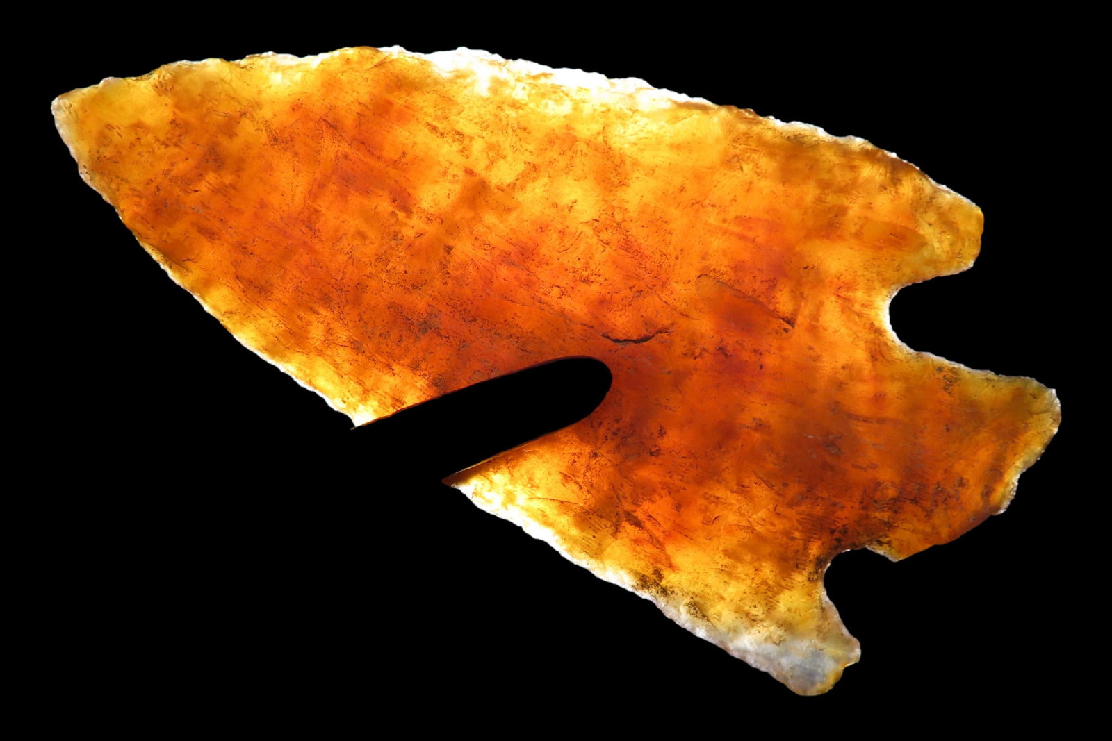 Highly Translucent 2 7/8" Florida Candy Coral Kirk Corner Notch found in Pinellas County Fl. Ex (1 of 7)