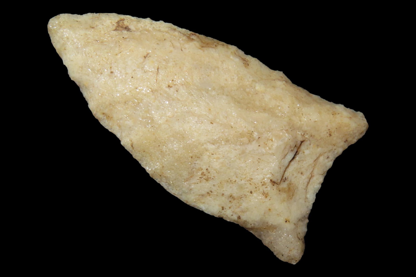 Amazing 2" Florida paleo Suwannee / Simpson found in Bradford County, FL. Ex Brian Boles Collection. (1 of 6)
