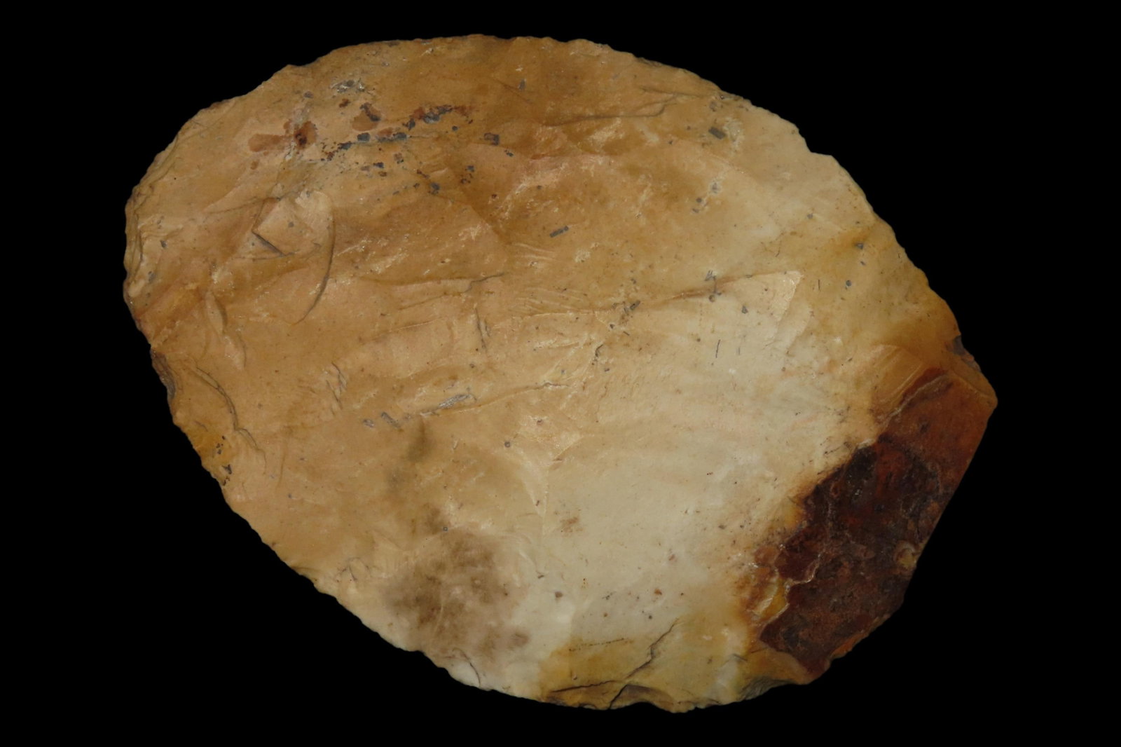 BigColorful 4 1/8" Florida early Paleo-Archaic Blade found in Hillsborough County, FL. Ex Brian (1 of 6)