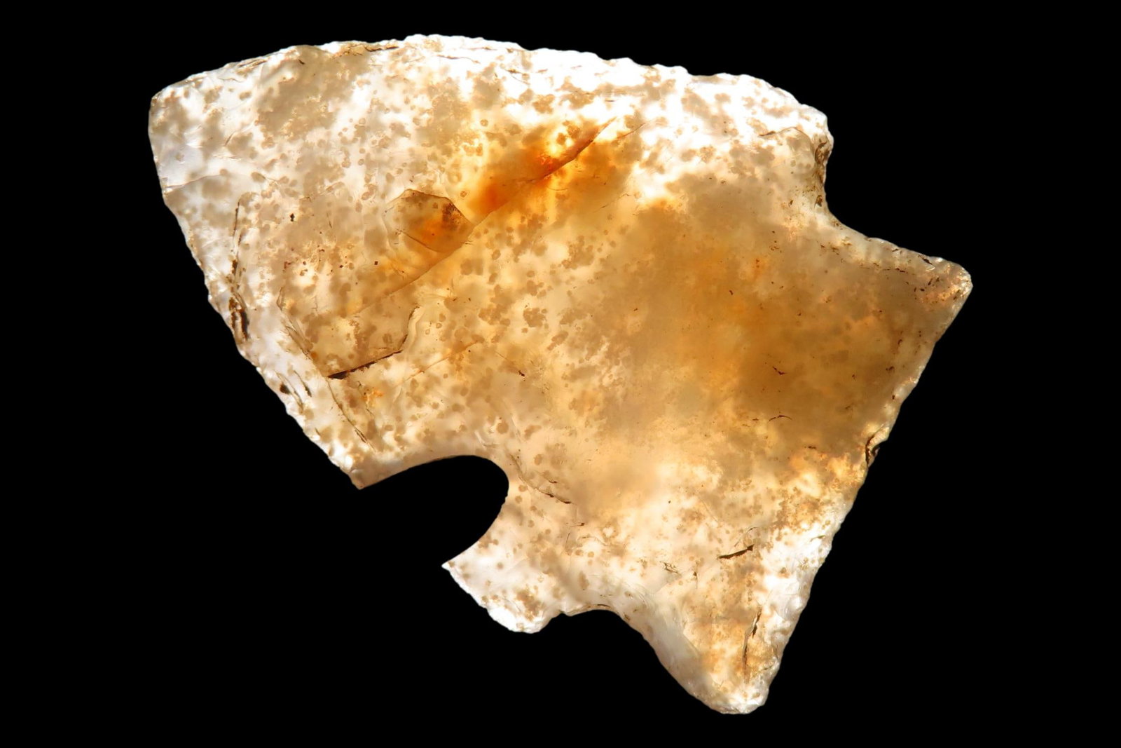 Incredible Florida Agate Kirk Corner Notch found in Pasco County, FL. Highly Translucent. Ex Brian (1 of 7)