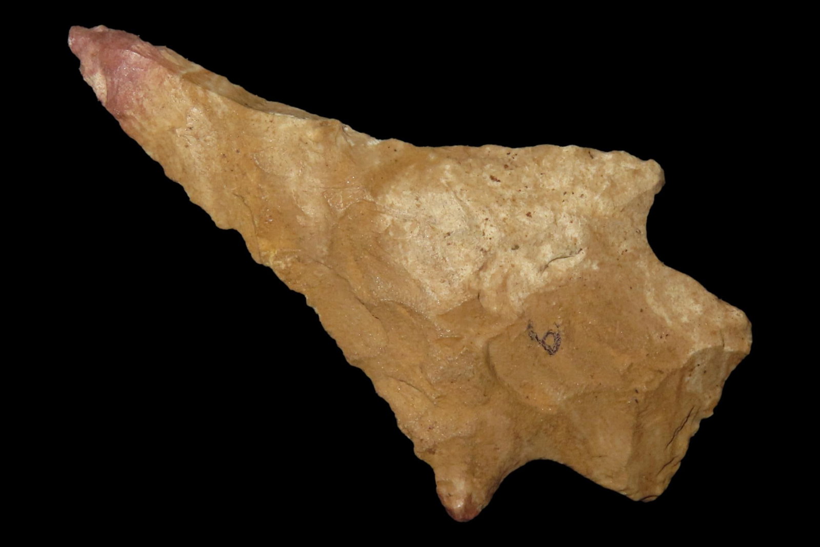 Nice 2 3/8" Florida Kirk Stemmed found in Pinellas County, FL. Ex Brian Boles Collection. Deep South (1 of 6)