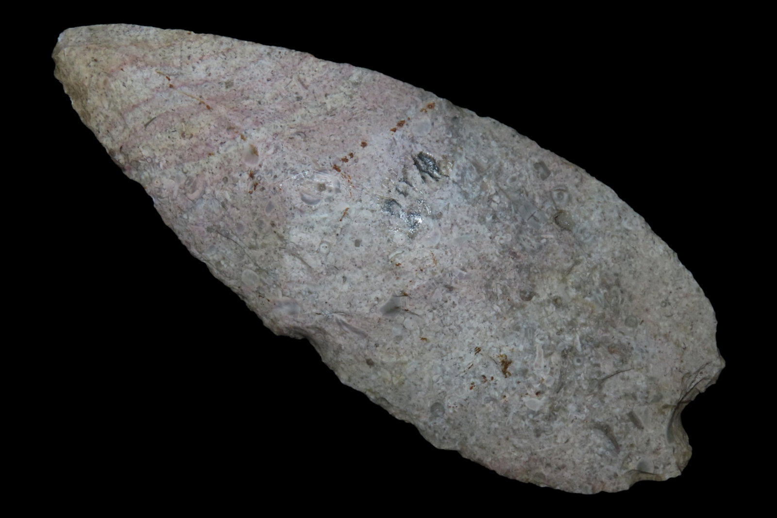 Huge 5 7/8" Archaic Knife Blade found in Southern Missouri. Well patinated with nice color! Nice (1 of 8)