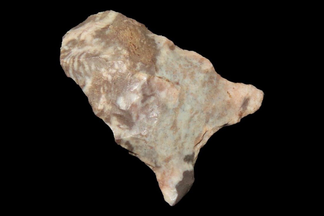 Colorful Dalton Blunt Hafted Scraper found in Northern Arkansas. Ex Joey Ellis Collection. (1 of 4)