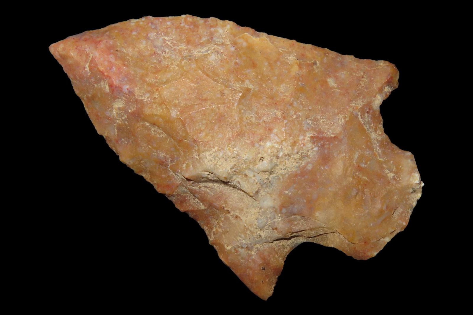 Colorful 2 3/8" Florida Cypress Creek found in Pasco County, FL. Ex Brian Boles Collection. Deep (1 of 6)