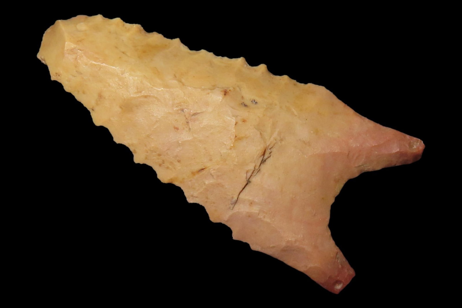 Nice Serrated Crowleys Ridge Dalton found in Norhtern Arkansas. Ex Joey Ellis Collection. Deep Flute: Nice Serrated Crowleys Ridge Dalton found in Norhtern Arkansas. Ex Joey Ellis Collection. Deep Flute on one side. Geat Color! Nice Serrations!