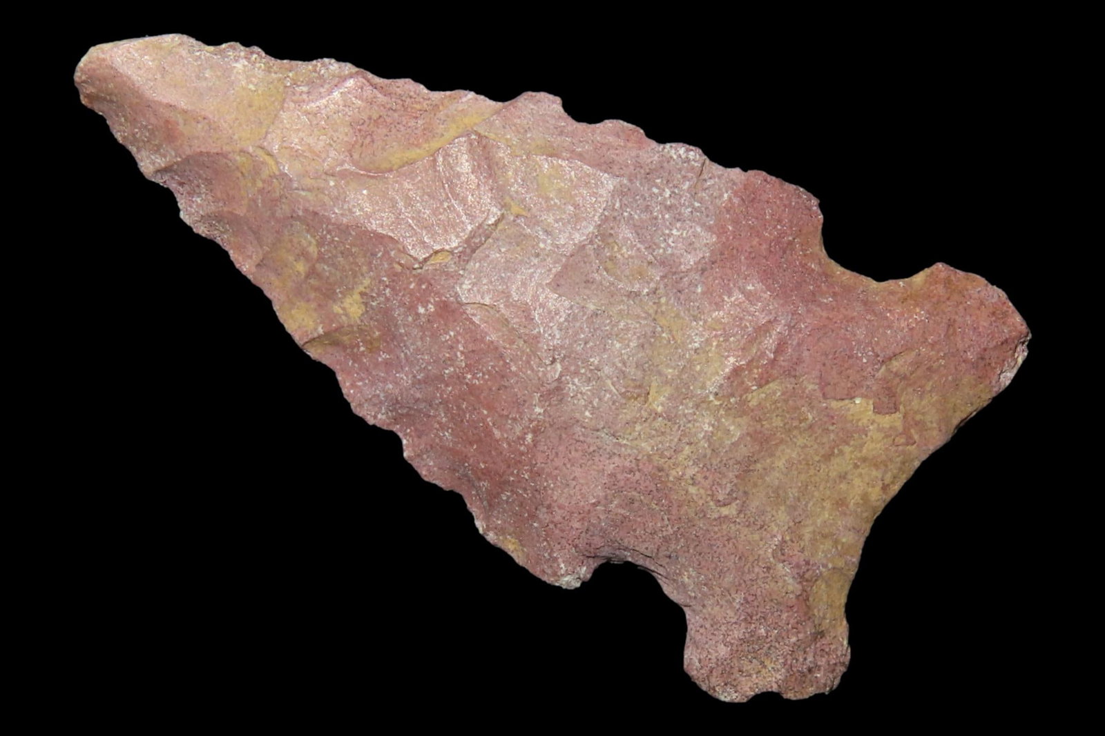 Colorful Florida Bolen Bevel found in Madison County, FL. Ex Brian Boles Collection. Deep South (1 of 6)