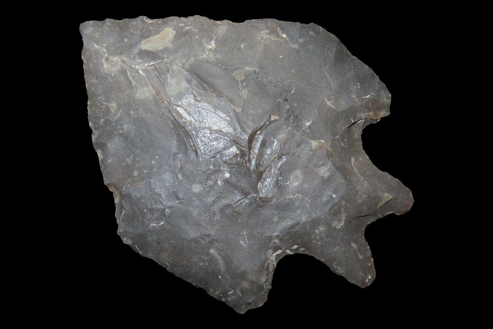 Incredible 2 7/8" Texas Pentagonal Pedernales / Perd found in Kerr County TX. Finely Flaked example (1 of 6)