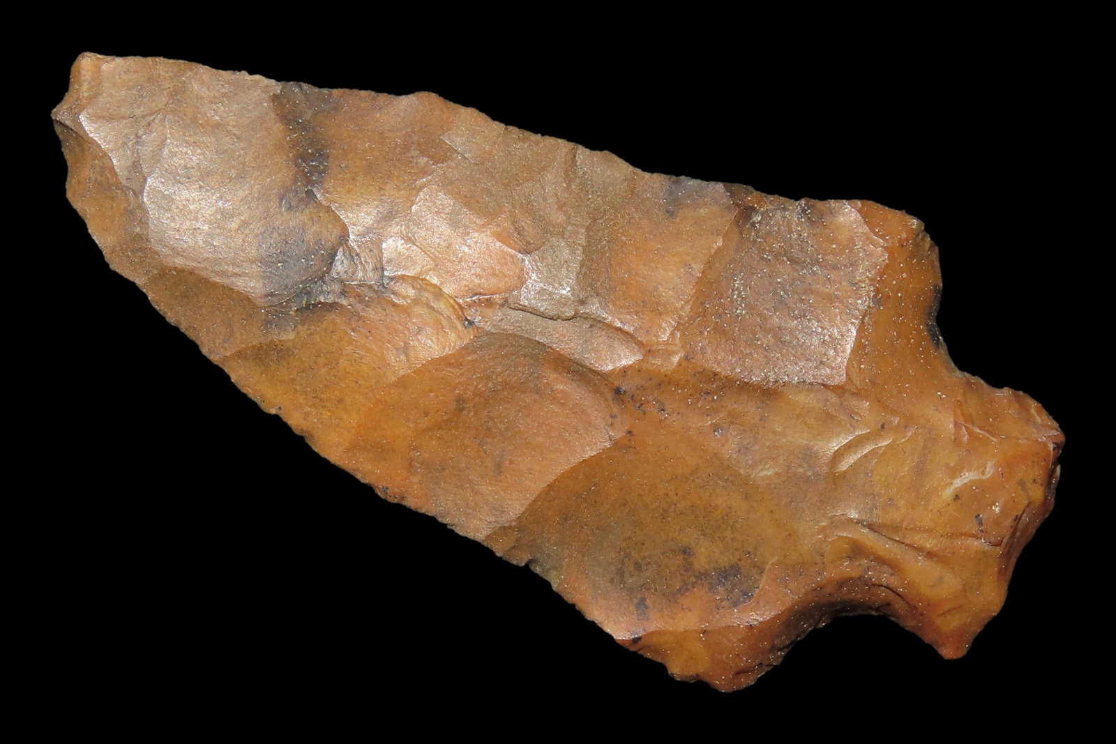 Colorful 2 5/8" River Stained Florida Candy Cottonbridge found in Pinellas County, FL. Ex Brian (1 of 6)