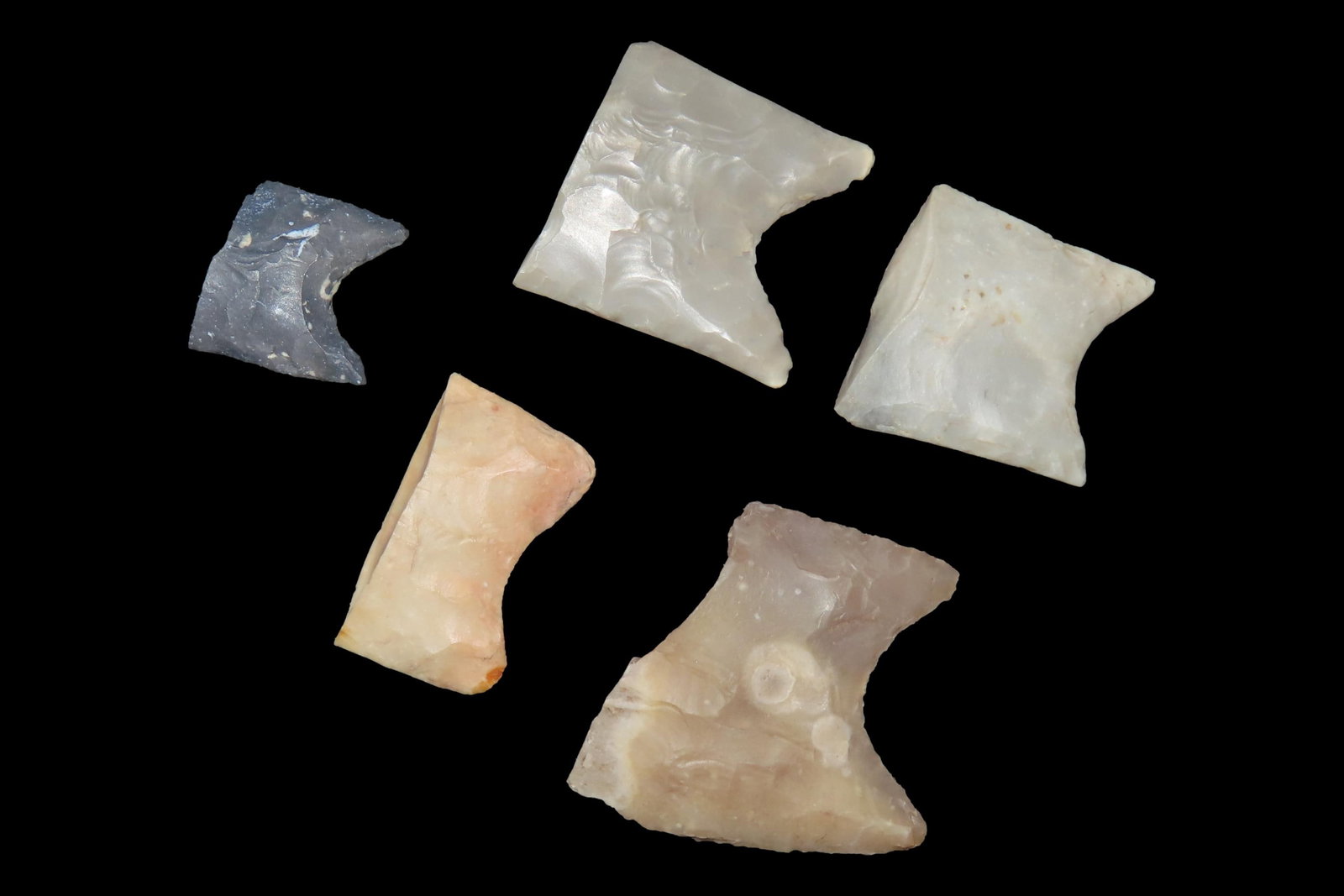 Amazing Lot of Texas Paleo Clovis Bases found in Gillespie & Kerr Counties. Several Clovis, One may (1 of 7)