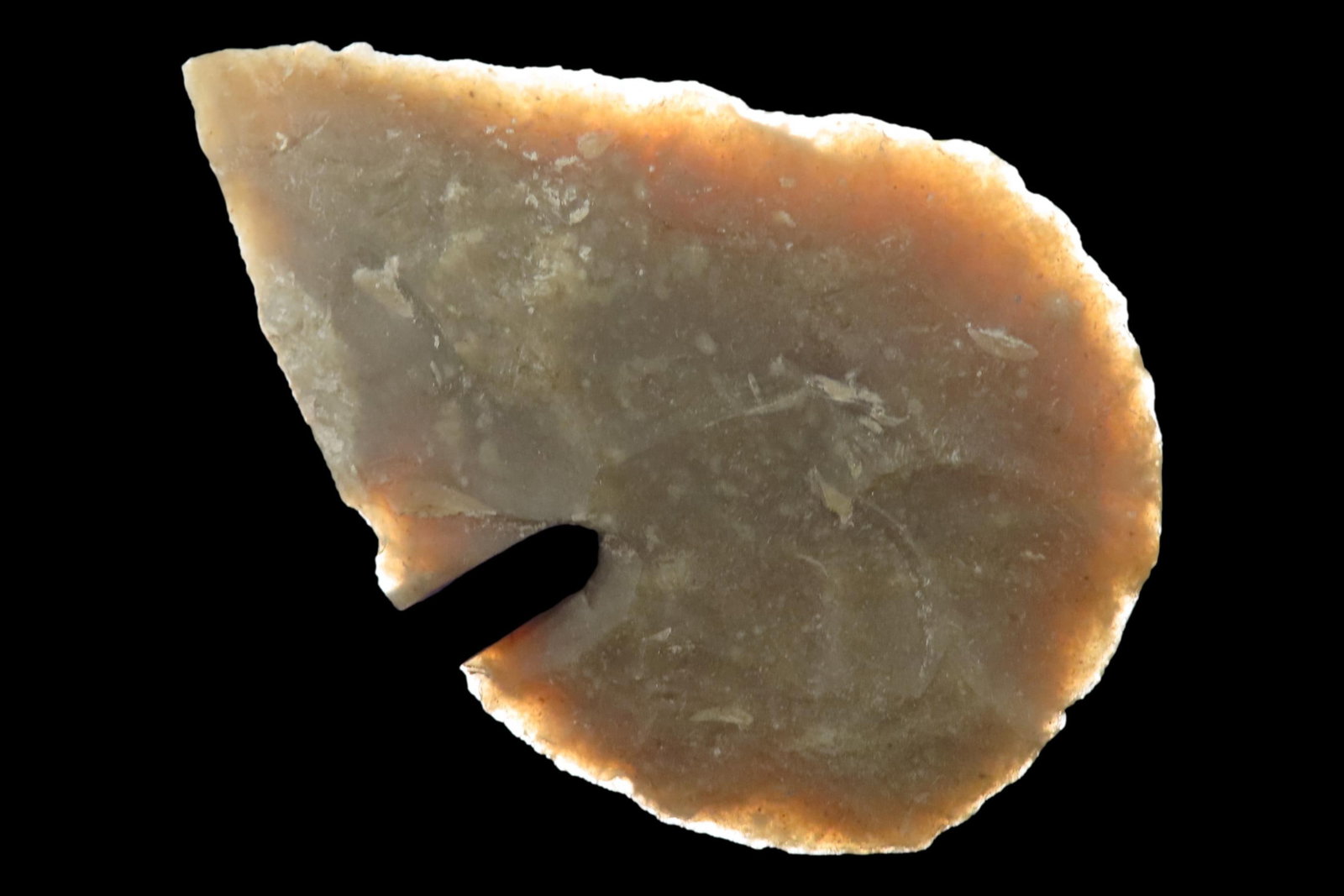 Translucent 2 5/8" Texas Covington Leaf Blade found in Bandera County TX. Nice form and great (1 of 9)