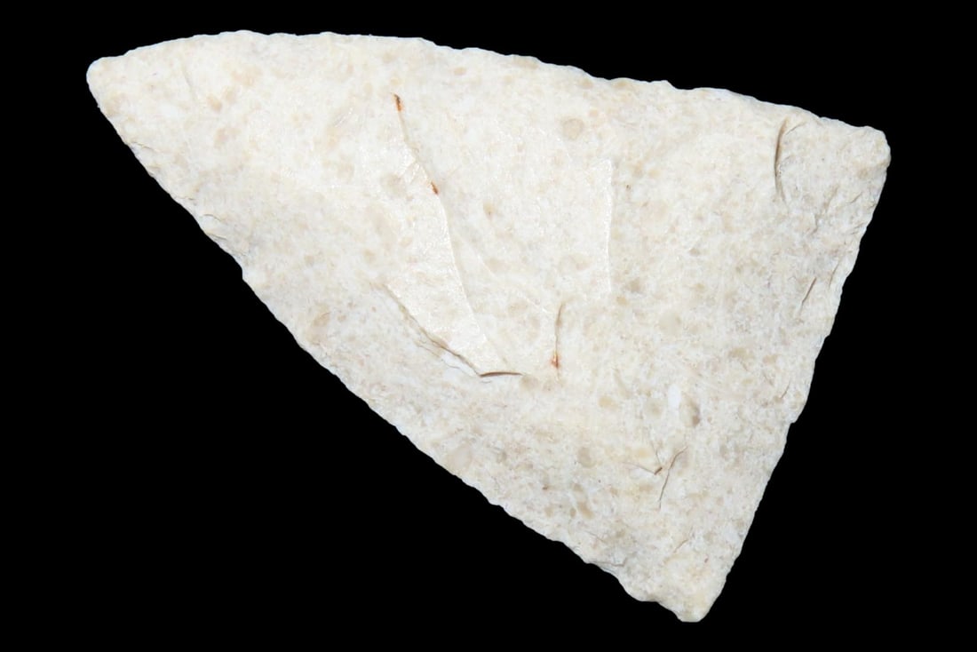 Perfect Florida Pinellas Triangle found in Pasco County, Fl. Finely Flaked example. Ex Brian Boles (1 of 5)