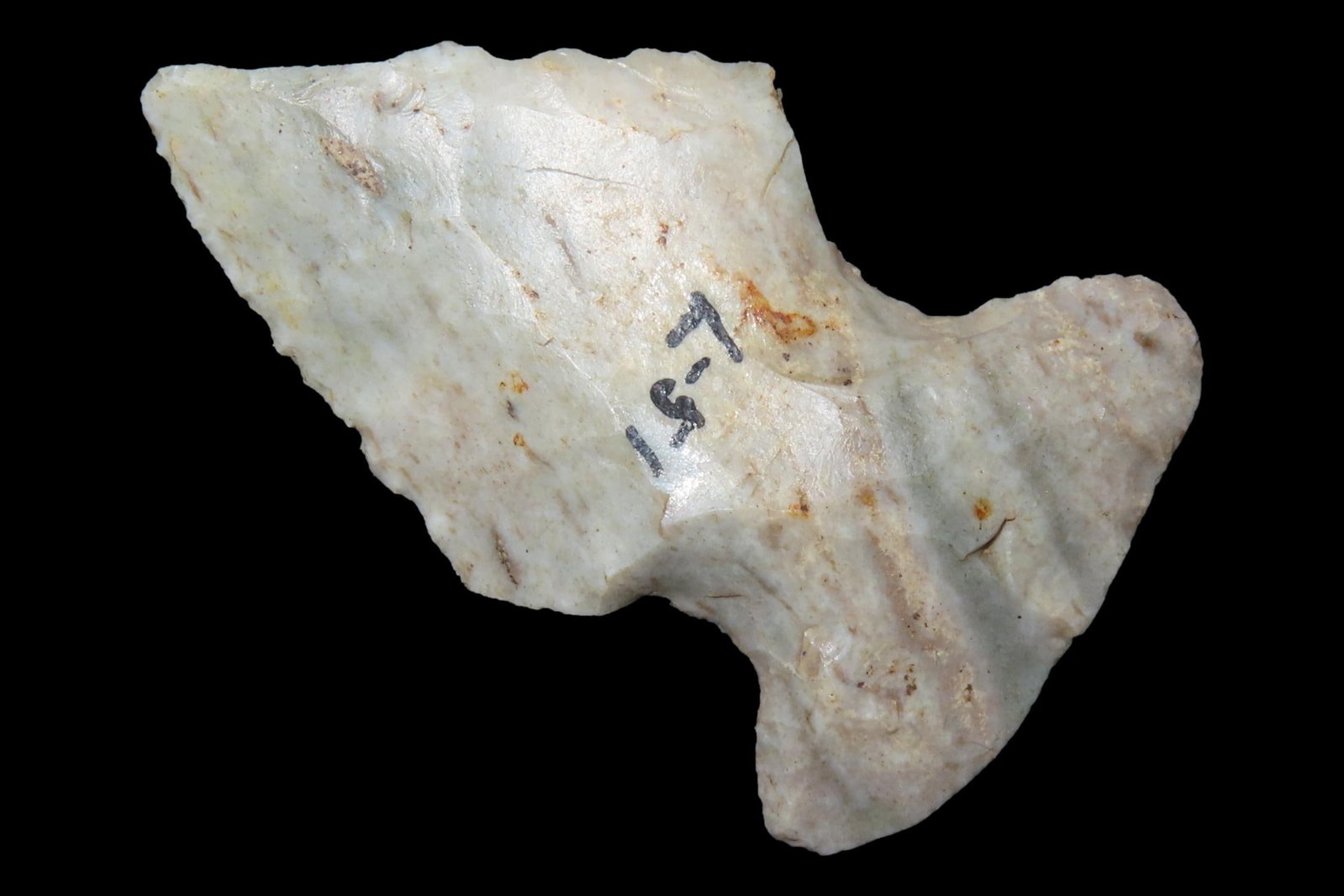 2 1/8" Indiana Green thebes found in Central Indiana. Great Colorful piece of Attica Chert. Ex Glen (1 of 6)