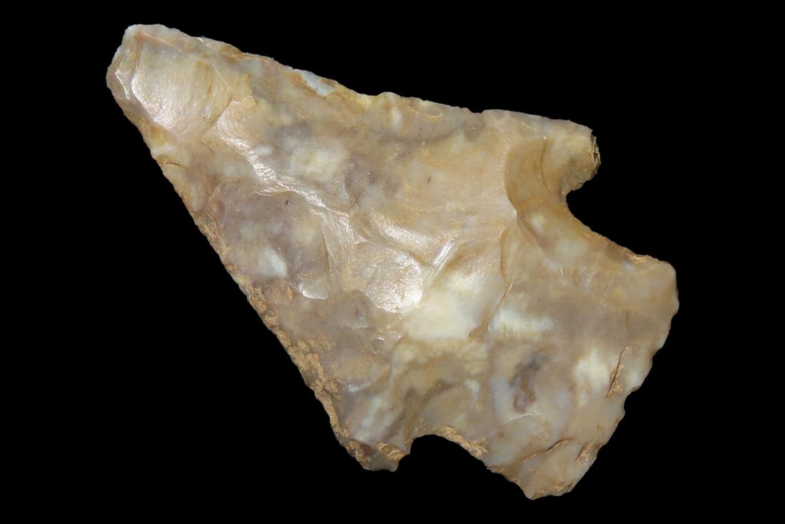 Colorful Florida Hardin found in Madison County, FL. Ex Brian Boles Collection. Deep South (1 of 6)