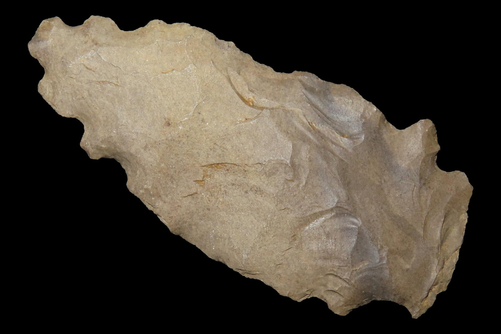 2 7/8" Flint Eccentric Effigy Arrowhead found in Northern Louisiana. Indian Artifact, Knife, Spear. (1 of 6)