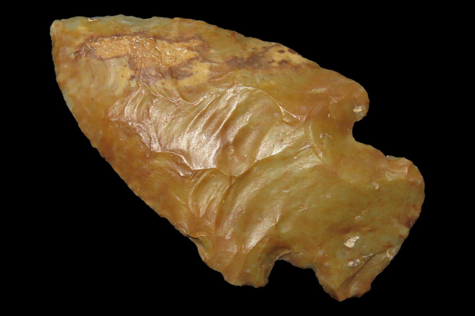 Colorful Florida River Stained Bolen Bevel E-Notch found in Citrus County, FL. Ex Brian Boles (1 of 6)