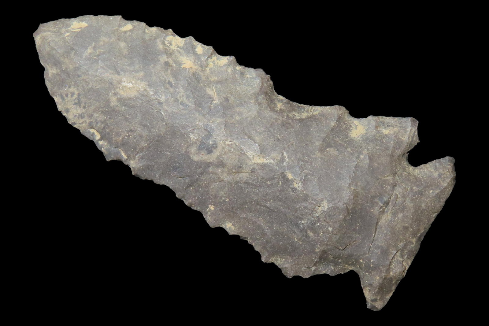 2 3/4" Pinetree found in Logan County Kentucky. (1 of 6)