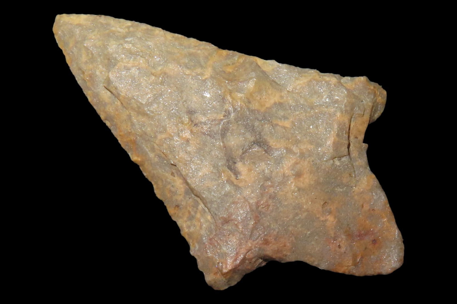 Fine Florida Weeden Island / Putnam found in Pasco County, FL. Very thin and well flaked. Ex Brian (1 of 6)