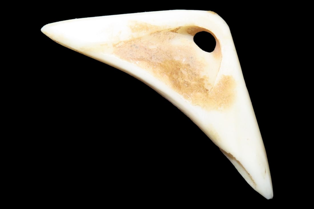 Nice Mimbres / Hohokam Effigy Shell Pendant found in Arizona. Nicely shaped and polished example, (1 of 4)