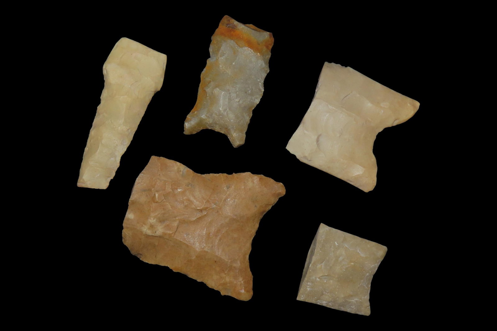 Great Lot of Texas Paleo Bases found in Gillespie & Kerr Counties. Clovis, Golindrina, Dalton, etc. (1 of 2)