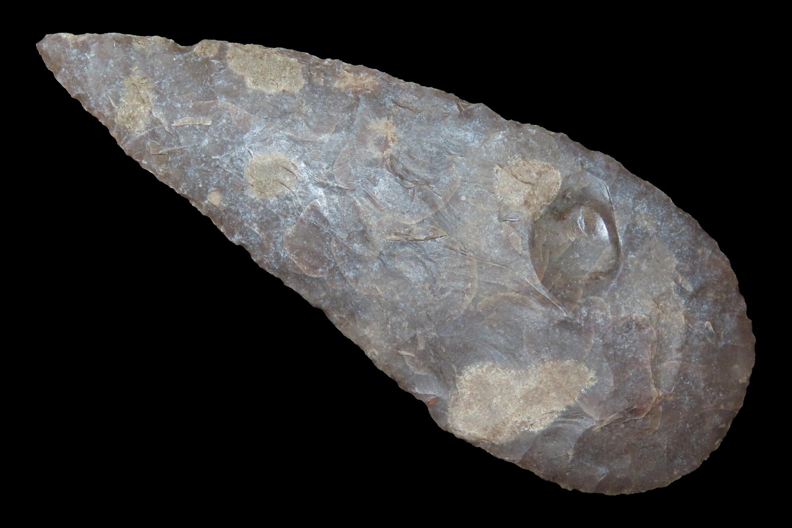 Very Thin 4 1/2" Texas Leaf Blade found in Uvalde County TX. Heavily Patinated & well flaked (1 of 8)